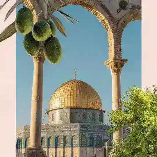 يَقـِـين🩵 Profile