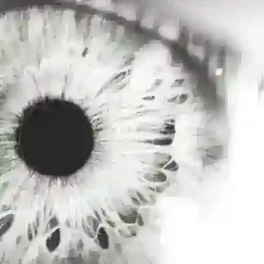 lantanamix3d