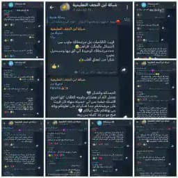 دليل الثقة Profile