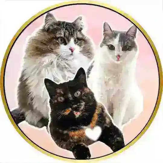Matreshka_love_family 🪆
