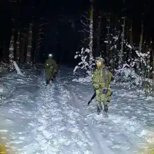 Молодость в лесах