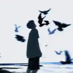 مودات ماينكرافت ، اصدارات ماينكرافت Profile