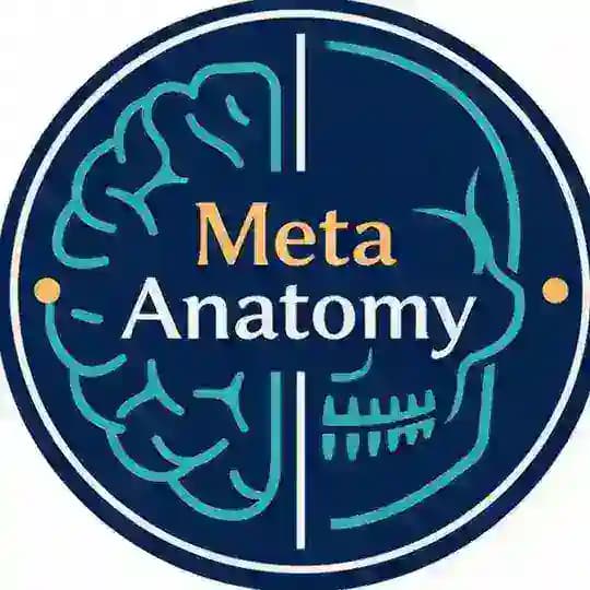 علوم پایه پزشکی | Meta Anatomy🩺
