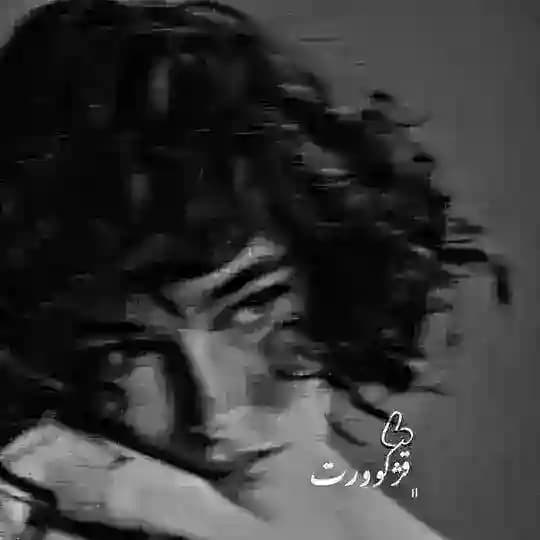 ﮼قژکوورت𓆦 Profile