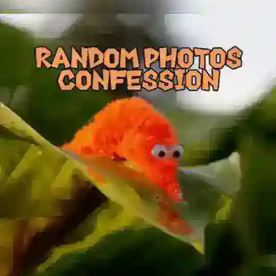 - Random photos confession 🎲 Profile