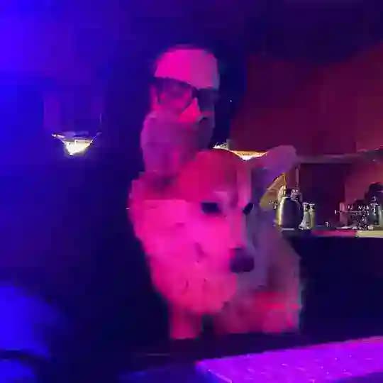 Tony’s broadcast