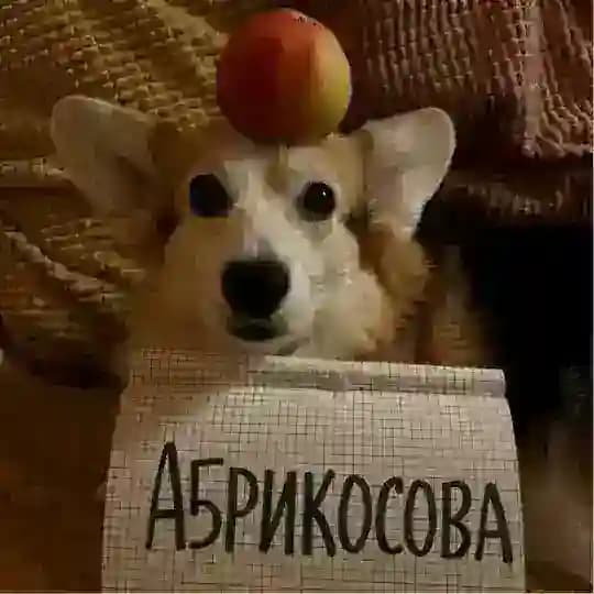 абрикосова Profile