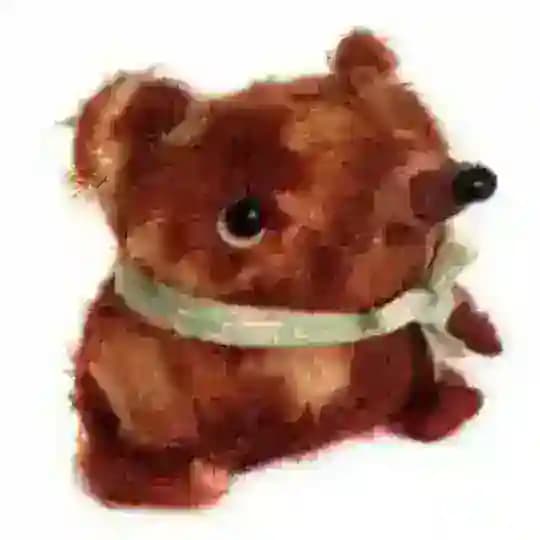 Пожуй Калошу