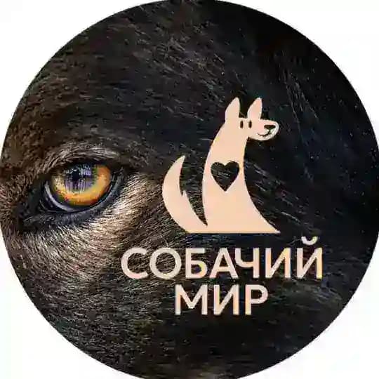 Приют «Собачий мир»
