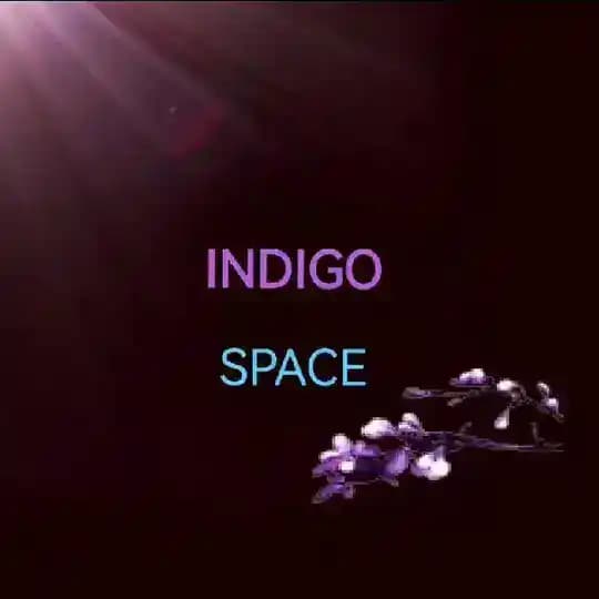 INDIGO SPACE