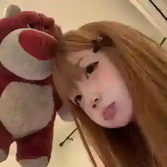 甜御的后宫 Profile