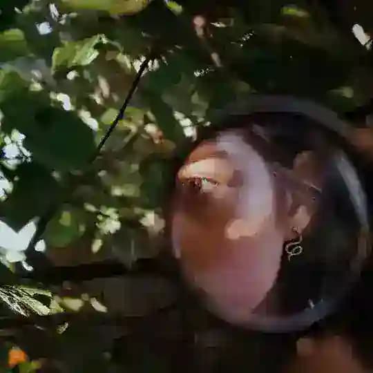 Веснушка