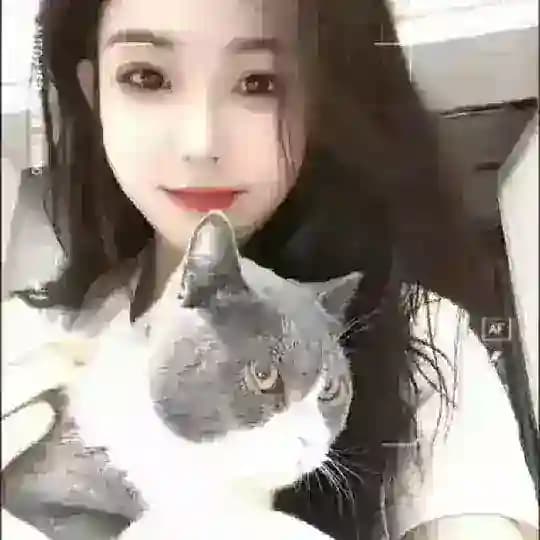 婉婉专属小窝