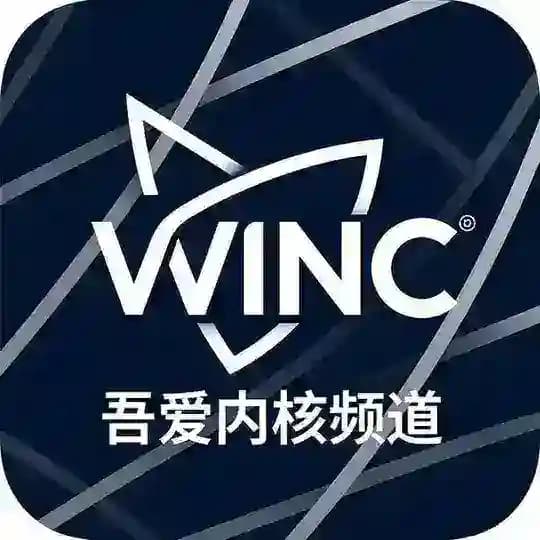 和平精英吾爱追锁内核主频道 Profile
