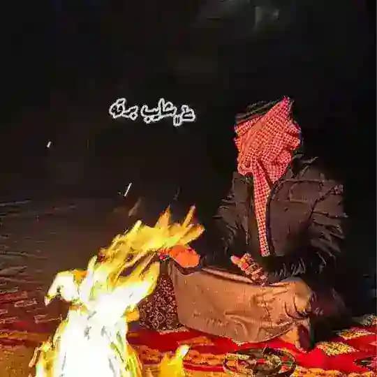 شايب برقه Profile