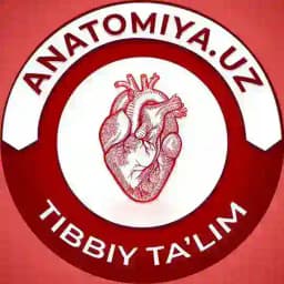 Anatomiya.uz | Tibbiy taโlim Profile