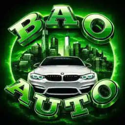 🚗BAO AUTO🚗 Наявність Profile