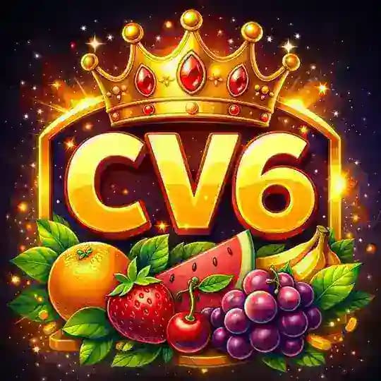 CV6 Profile