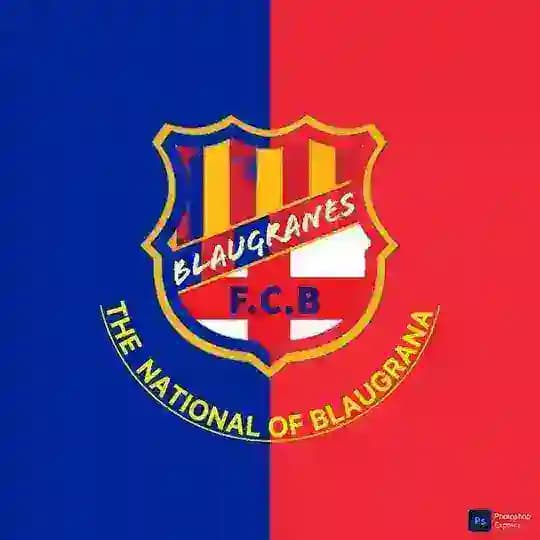 بلوگرانا ترول❤💙barcelona💙❤ Profile