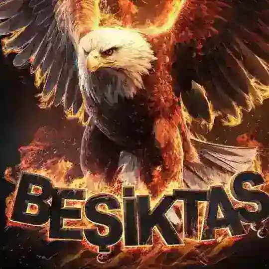 BEŞİKTAŞK❤️ Profile