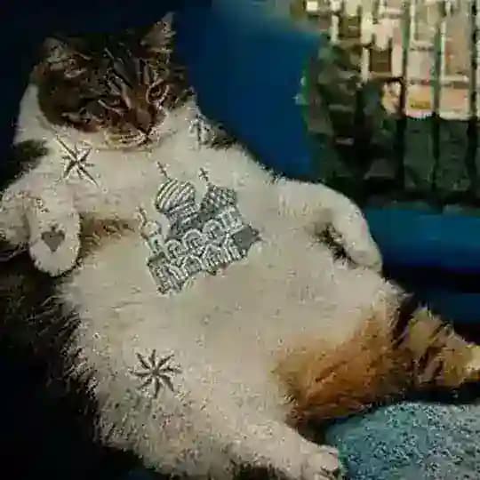 😎😎Блатная мафия😎😎 Profile