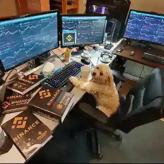 Cryptic Signals & Analysis Discussion Profile