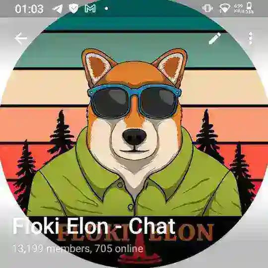 FLOKI ELON (PAKISTAN)🇵🇰 Profile
