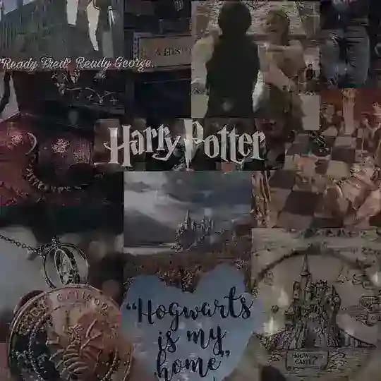 Harry Potter ALWAYS ๐ฎ๐ฎ๐ฉ Profile
