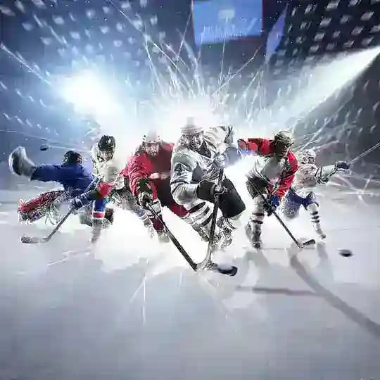 Хоккей в Ташкенте Profile