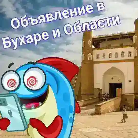 ОБЪЯВЛЕНИЕ В БУХАРЕ и в Области Profile