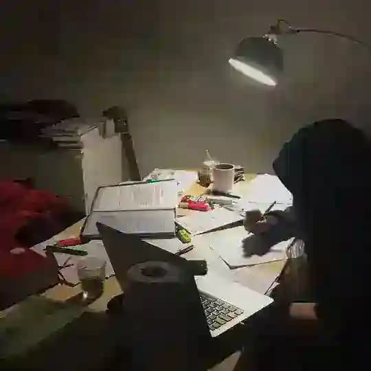 Telegram and X Profile