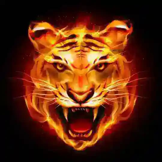 天道交流会 Profile