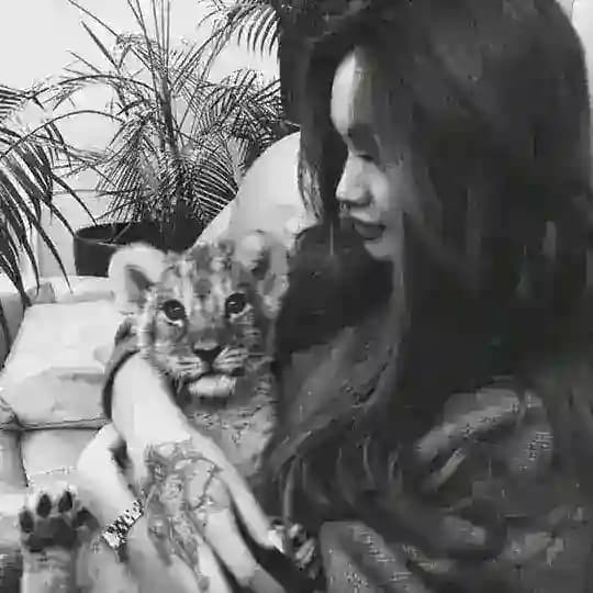 ๐ ๐ ๐ ๐ ๐ ๐ Profile