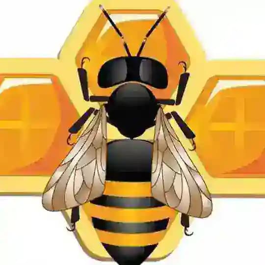 sirdaryo viloyati asal arichilar 🐝 Profile