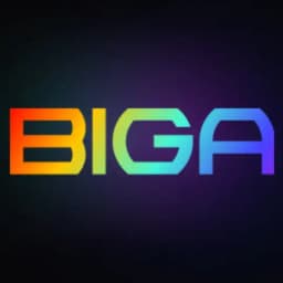 BIGA Arcade Profile