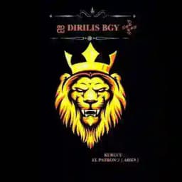 ஐ 𝐃𝐈𝐑𝐈𝐋𝐈𝐒 𝐁𝐆𝐘 𒅒 Profile