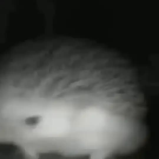 че за суета бля Profile