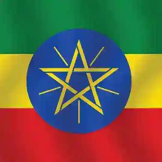 Online things ethiopia๐ช๐น Profile