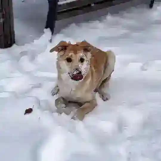 Малыш дома 🥳 Profile