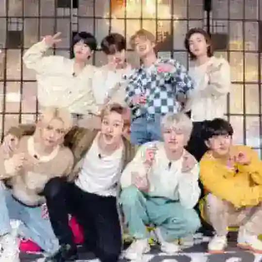 Stray Kids | VIP-комната Stay Profile
