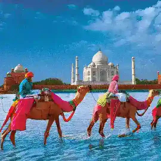 Индия ☸ Учения ЕС Далай Ламы Profile