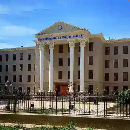 Testlar Moodle(chat) Profile