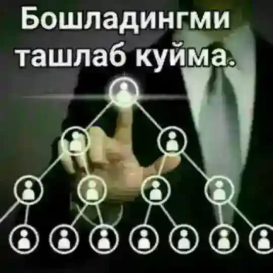 Свой дом Profile