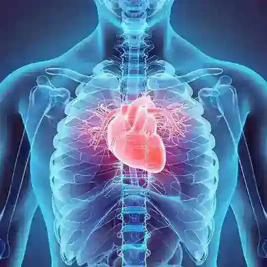 Ⓑⓘⓞ Ⓠⓤⓘⓩ සත්ත්ව ආකාරය හා ක්රියාකාරිත්වය Profile