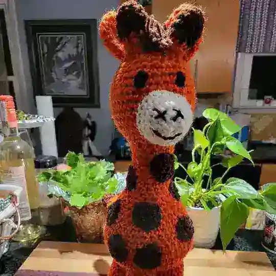 IAF - HomeCrafts Profile