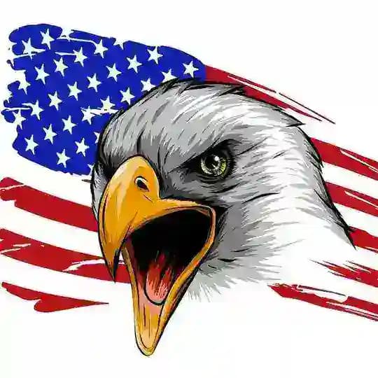 همیاری ایرانیان ساکن آمریکا Profile