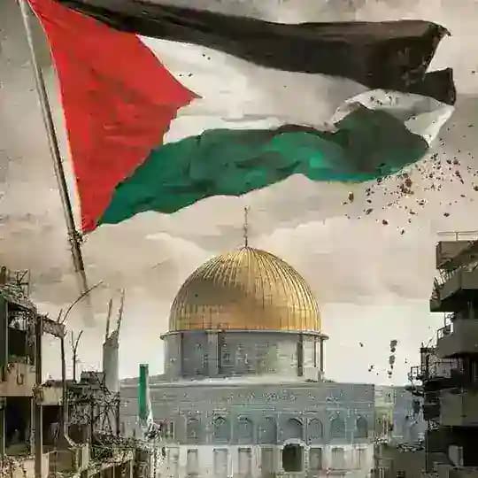 بين الدمار يولد الصمود Profile