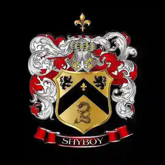 SHYBOY ™ | ᴘɪɴᴋꜱᴀʟᴇ • ᴀᴠᴇ.ᴀɪ • ꜱᴘʜʏɴx • ʙᴛᴏᴋ Profile
