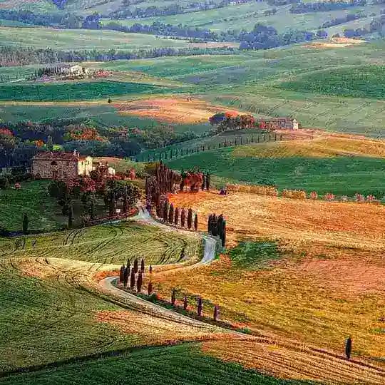 The value of life Profile