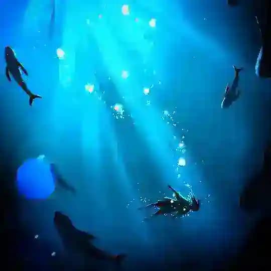 بنیاد جهانی آموزش و پژوهش در زمینه ی فوبیا ، تروما و اضطراب | World Training and Research in Phobia Trauma & Anxiety Foundation Profile